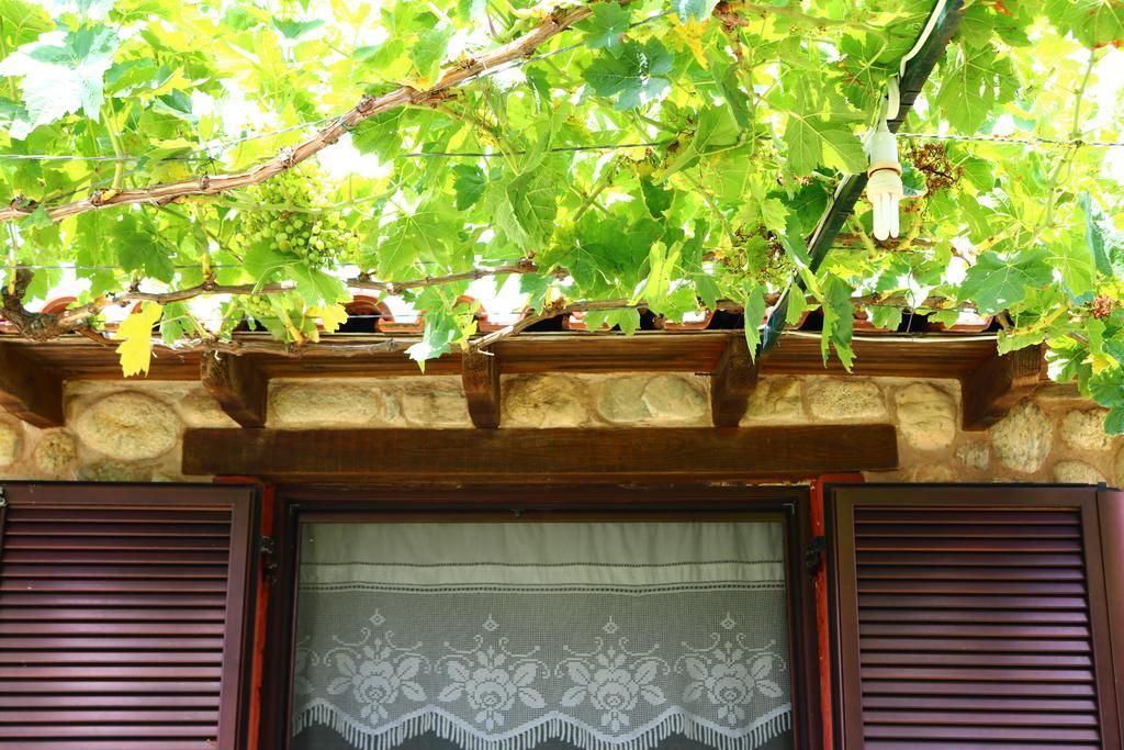 Villa Agapitos Ситонья Экстерьер фото